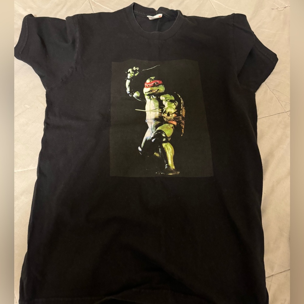 Boys turtles tshirt
